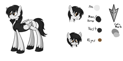 Size: 3000x1500 | Tagged: safe, artist:lunahazacookie, imported from derpibooru, oc, oc:nightwish, pegasus, pony, bust, clothes, male, pegasus oc, reference sheet, simple background, stallion, unshorn fetlocks, white background