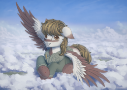 Size: 1520x1080 | Tagged: safe, artist:adagiostring, imported from derpibooru, oc, oc only, oc:ashes/weathered parchment, pegasus, pony, fallout equestria, adorable face, clothes, cloud, colored wings, cute, enclave, jacket, looking at you, male, on a cloud, one ear down, post-sunshine and rainbows, sitting, sitting on a cloud, sky, smiling, smiling at you, solo, speckles, spread wings, stallion, two toned wings, uniform, wings, wonderbolts, wonderbolts uniform