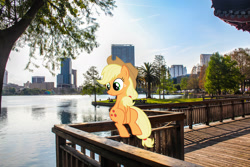 Size: 1600x1066 | Tagged: safe, artist:jaredking779, artist:sunran80, imported from derpibooru, applejack, earth pony, pony, city, cowboy hat, female, florida, hat, irl, mare, orlando, photo, ponies in real life, sitting, stetson