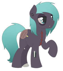 Size: 1608x1808 | Tagged: safe, artist:dyonys, imported from derpibooru, oc, oc:soulshell, earth pony, undead, zombie, bags under eyes, bloodshot eyes, bone, ear piercing, fangs, male, piercing, raised hoof, scar, simple background, transparent background