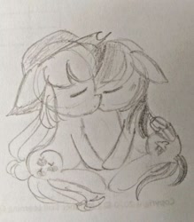 Size: 640x732 | Tagged: safe, artist:snowzaaah, imported from derpibooru, applejack, rainbow dash, earth pony, pegasus, pony, appledash, appledashdailydoodles, doodle, female, kissing, lesbian, monochrome, pencil drawing, shipping, sketch, traditional art