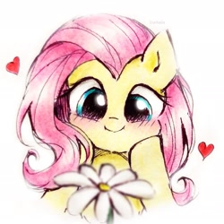 Size: 1939x1939 | Tagged: safe, artist:liaaqila, imported from derpibooru, fluttershy, pegasus, pony, blushing, bust, c:, cute, female, flower, heart, hooves on cheeks, looking at something, mare, shyabetes, signature, simple background, smiling, solo, traditional art, weapons-grade cute, white background