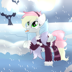 Size: 586x587 | Tagged: safe, artist:blazyplazy, imported from derpibooru, oc, oc only, oc:blazey sketch, pegasus, :p, clothes, earmuffs, small wings, smiling, snow, snowfall, socks, solo, striped socks, sweater, tongue out, wings, winter, winter outfit