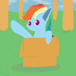 Size: 3000x3000 | Tagged: safe, artist:reinbou, imported from derpibooru, rainbow dash, cat, cat pony, original species, pegasus, pony, box, catified, forest, pony in a box, rainbow cat, sky, solo, species swap, tree