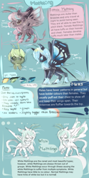 Size: 2000x4000 | Tagged: safe, artist:aquagalaxy, imported from derpibooru, moth, mothpony, original species, pony, high res, reference sheet