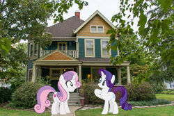 Size: 2048x1365 | Tagged: safe, artist:korsoo, artist:mlplover94, artist:sollace, imported from derpibooru, rarity, sweetie belle, pony, unicorn, female, grin, indiana, indianapolis, irl, mare, older, older sweetie belle, photo, ponies in real life, siblings, sisters, smiling