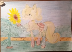 Size: 995x720 | Tagged: safe, artist:melody_visher, imported from derpibooru, oc, oc only, flower, solo, sunflower, traditional art