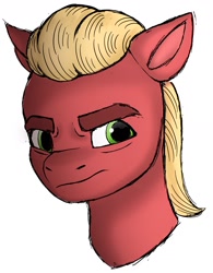 Size: 1427x1832 | Tagged: safe, artist:dancingkinfiend, derpibooru exclusive, imported from derpibooru, sprout cloverleaf, earth pony, pony, angry, blonde hair, blonde mane, bust, ears back, eyebrows down, frown, g5, green eyes, male, my little pony: a new generation, portrait, red fur, rough sketch, shading, simple background, sketch, solo, stallion, white background