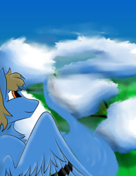 Size: 2550x3300 | Tagged: safe, artist:mr_nate89, imported from derpibooru, oc, oc:nate, pegasus, brown hair, cloud, flying