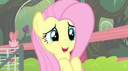 Size: 1233x692 | Tagged: safe, imported from derpibooru, screencap, fluttershy, pegasus, pony, cute, episode needed, female, mare, shyabetes