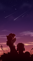 Size: 1640x3040 | Tagged: safe, artist:rainbowfire, edit, imported from derpibooru, comet tail, twilight sparkle, earth pony, pegasus, pony, cloud, comet, cometlight, cute, female, floppy ears, galaxy, grass, love, male, mare, night, onomatopoeia, romance, shipping, smiling, softness, sound effects, stallion, stars, straight, sunset, wallpaper, wallpaper edit, zzz