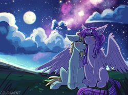 Size: 2972x2200 | Tagged: safe, artist:rament, imported from derpibooru, oc, oc only, oc:sophie hoofington, oc:star silk, earth pony, pegasus, blushing, cuddling, cute, moon, night, pegasus oc, sitting, smiling, stargazing, stars