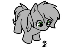Size: 499x367 | Tagged: safe, artist:neuro, imported from derpibooru, oc, oc only, oc:filly anon, earth pony, pony, female, filly, flower, simple background, solo, white background