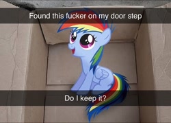 Size: 1080x772 | Tagged: safe, edit, editor:themlpmemesupplier, imported from derpibooru, rainbow dash, pegasus, pony, box, female, filly, foal, meme, pony in a box, snapchat, text, vulgar