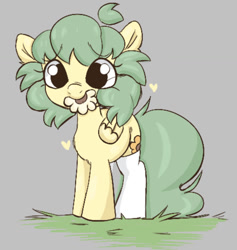 Size: 1106x1169 | Tagged: safe, artist:mushy, imported from derpibooru, oc, oc only, oc:pea, pegasus, pony, aggie.io, clothes, female, filly, floppy ears, flower, foal, grass, grass field, gray background, green mane, looking at you, simple background, small wings, socks, solo, thigh highs, wings