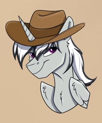 Size: 1161x1405 | Tagged: safe, artist:rutkotka, imported from derpibooru, oc, oc only, alicorn, pony, alicorn oc, commission, cowboy hat, hat, horn, simple background, solo, tan background, wings, ych result