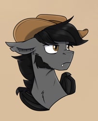 Size: 1085x1333 | Tagged: safe, artist:rutkotka, imported from derpibooru, oc, oc only, bat pony, pony, commission, cowboy hat, hat, simple background, solo, tan background, ych result