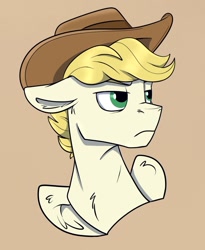 Size: 1025x1249 | Tagged: safe, artist:rutkotka, imported from derpibooru, oc, oc only, pegasus, pony, commission, cowboy hat, hat, simple background, solo, tan background, ych result