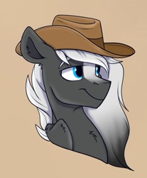 Size: 1145x1381 | Tagged: safe, artist:rutkotka, imported from derpibooru, oc, oc only, pegasus, pony, commission, cowboy hat, hat, simple background, solo, tan background, ych result