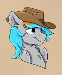 Size: 1145x1381 | Tagged: safe, artist:rutkotka, imported from derpibooru, oc, oc only, oc:shade flash, pegasus, pony, commission, cowboy hat, hat, simple background, solo, tan background, ych result