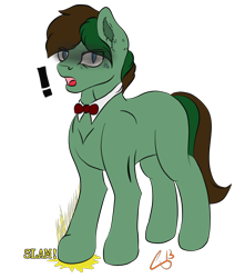 Size: 1010x1141 | Tagged: safe, artist:lennystendhal13, imported from derpibooru, oc, oc:lucretio wonder, earth pony, pony, male, simple background, solo, stallion, transparent background