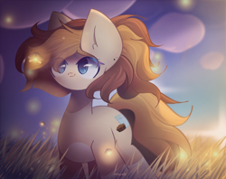 Size: 2400x1900 | Tagged: safe, artist:miryelis, imported from derpibooru, oc, oc only, earth pony, pony, cloud, field, firebug, gradient hooves, sky, smiling, solo, standing, sunset, windswept mane