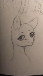 Size: 1152x2048 | Tagged: safe, artist:miokomata, imported from derpibooru, pony, bald, bust, looking at you, pencil drawing, sketch, smiling, smiling at you, solo, traditional art