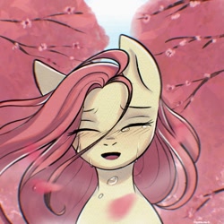 Size: 2048x2048 | Tagged: safe, artist:cottonaime, imported from derpibooru, fluttershy, pegasus, pony, blushing, bust, cherry blossoms, crying, eyes closed, female, flower, flower blossom, flower petals, full face view, high res, open mouth, petals, smiling, smiling at you, solo, stray strand, teardrop, teary eyes, windswept mane
