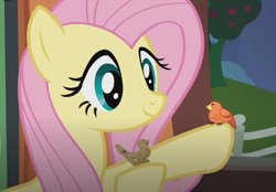 Size: 654x454 | Tagged: safe, imported from derpibooru, screencap, constance, fluttershy, bird, pony, trade ya, raised hoof, whistle