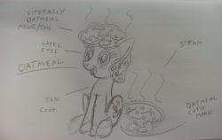 Size: 4160x2631 | Tagged: safe, anonymous artist, imported from derpibooru, oc, oc:oatmeal, earth pony, pony, 4chan, female, food, mare, monochrome, oatmeal, oats, open mouth, pencil drawing, reference sheet, smiling, traditional art