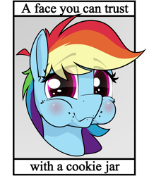 Size: 4134x4908 | Tagged: safe, alternate version, artist:dacaoo, imported from derpibooru, rainbow dash, pegasus, pony, blatant lies, bust, cookie thief, eye clipping through hair, eyebrows, eyebrows visible through hair, portrait, text, this will end in colic