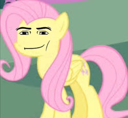 Size: 749x693 | Tagged: safe, artist:bloommoonbeam, edit, edited screencap, imported from derpibooru, screencap, fluttershy, pegasus, pony, female, folded wings, mare, roblox, shitposting, smiling, smirk, solo, wat, wings