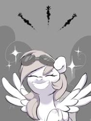 Size: 900x1200 | Tagged: safe, artist:shiny-dust, imported from derpibooru, rainbow dash, pegasus, pony, eyes closed, female, goggles, grin, mare, monochrome, smiling, solo focus, wonderbolts