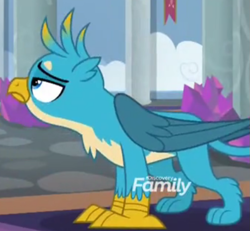 Size: 797x738 | Tagged: safe, imported from derpibooru, screencap, gallus, griffon, school daze, season 8, spoiler:s08, cropped, male, solo