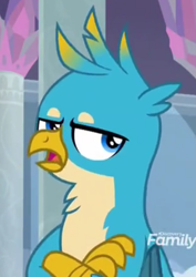 Size: 591x834 | Tagged: safe, imported from derpibooru, screencap, gallus, griffon, school daze, cropped, crossed arms, gallus is not amused, male, solo, unamused