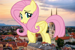 Size: 1900x1267 | Tagged: safe, artist:gratlofatic, artist:jaredking779, imported from derpibooru, fluttershy, pegasus, pony, croatia, female, giant pegasus, giant pony, giantess, giantshy, highrise ponies, irl, looking at you, macro, mare, mega giant, photo, ponies in real life, raised hoof, solo, zagreb