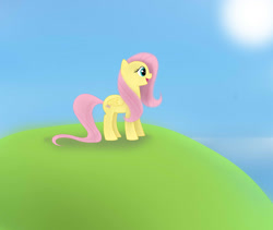 Size: 1280x1078 | Tagged: safe, artist:cipherpie, imported from derpibooru, fluttershy, pegasus, pony, 2012, female, hill, mare, old art, solo