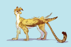 Size: 3320x2200 | Tagged: safe, artist:rapapaya, imported from derpibooru, oc, oc only, oc:beaky, cheetah, griffon, fanfic:yellow feathers, beak, griffon oc, high res, male, simple background, wings