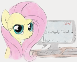 Size: 807x645 | Tagged: safe, artist:dotkwa, imported from derpibooru, fluttershy, pegasus, pony, computer, female, frown, looking at you, looking back, looking back at you, mare, monitor, simple background, solo, upset, white background