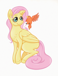 Size: 1394x1818 | Tagged: safe, artist:nouni, derpibooru exclusive, imported from derpibooru, constance, fluttershy, bird, pegasus, pony, chest fluff, cute, shyabetes, simple background, simple shading, sitting, solo, white background