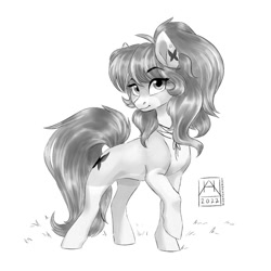 Size: 1024x1024 | Tagged: safe, artist:bluefeathercat, imported from derpibooru, oc, oc only, earth pony, pony, ear piercing, female, looking at you, mare, monochrome, pale belly, piercing, simple background, socks (coat marking), solo, white background, white muzzle