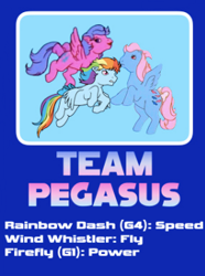 Size: 269x362 | Tagged: safe, editor:4-chap, imported from derpibooru, firefly, rainbow dash, wind whistler, pegasus, pony, crossover, female, g1, g4, g4 to g1, generation leap, mare, multicolored hair, rainbow hair, smiling, sonic heroes, sonic the hedgehog (series), spread wings, team, text, wings