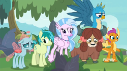 Size: 1248x702 | Tagged: safe, imported from derpibooru, screencap, gallus, ocellus, sandbar, silverstream, smolder, yona, changedling, changeling, classical hippogriff, dragon, earth pony, griffon, hippogriff, pony, yak, non-compete clause, bow, cloven hooves, colored hooves, hair bow, jewelry, monkey swings, necklace, student six