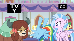 Size: 1250x702 | Tagged: safe, imported from derpibooru, screencap, end zone, huckleberry, rainbow dash, silverstream, summer breeze, yona, classical hippogriff, earth pony, hippogriff, pegasus, pony, yak, non-compete clause, bow, friendship student, hair bow, jewelry, monkey swings, necklace, out of context