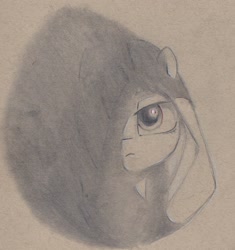 Size: 1737x1845 | Tagged: safe, artist:foxtrot3, imported from derpibooru, oc, oc only, earth pony, contrast, female, mare, shadow, solo, traditional art