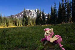 Size: 2100x1400 | Tagged: safe, artist:natureshy, imported from derpibooru, fluttershy, bat pony, pony, bat ponified, clothes, flutterbat, forest, irl, mountain, photo, plushie, race swap, scenery, socks, solo, striped socks