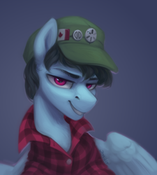 Size: 1800x2000 | Tagged: safe, artist:jewellier, imported from derpibooru, oc, oc only, pegasus, pony, bust, canadian flag, cap, clothes, hat, looking at you, male, plaid shirt, portrait, shirt, simple background, solo, stallion