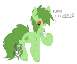 Size: 3328x2756 | Tagged: safe, imported from derpibooru, oc, oc only, oc:stoney poney, bloodshot eyes, chest fluff, drugs, green hair, hair over one eye, high, marijuana, red eyes, simple background, smoking, solo, stoned, white background