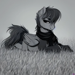 Size: 1024x1024 | Tagged: safe, alternate version, imported from derpibooru, oc, oc:hazy skies, pony, ai content, ai generated, generator:purplesmart.ai, generator:stable diffusion, grass, grass field, looking at you, male, monochrome, simple background, smiling, solo, stallion