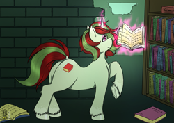 Size: 2039x1446 | Tagged: safe, artist:natt333, imported from derpibooru, oc, oc only, oc:scarlet reverie, pony, unicorn, fallout equestria, book, bookshelf, commissioner:solar aura, magic, solo, telekinesis